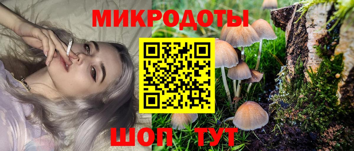 Галлюциногенные грибы Magic Shrooms Лыткарино