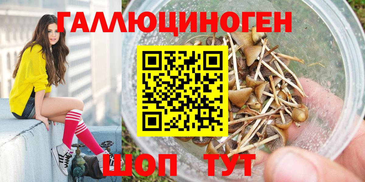Псилоцибиновые грибы MAGIC MUSHROOMS  Псилоцибиновые грибы мицелий  Вход с VPN  Лыткарино 